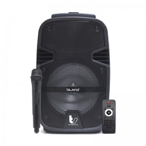 Coluna Biwond ThunderSound 12" 400W