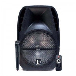 Coluna Biwond ThunderSound 8" 250W