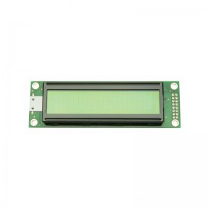 LCD Display Screen EW13B10YLY