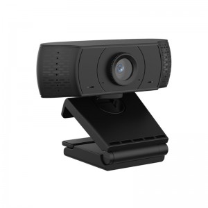 Webcam Ewent EW1590 Full HD 1080p